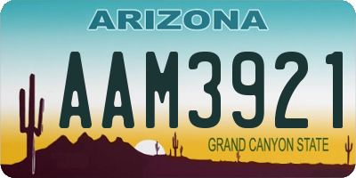 AZ license plate AAM3921