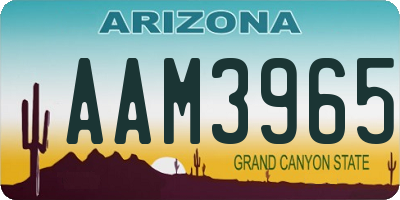 AZ license plate AAM3965