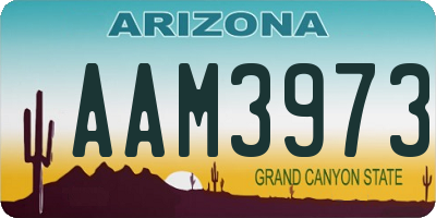 AZ license plate AAM3973