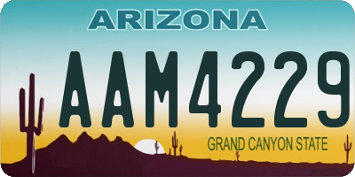 AZ license plate AAM4229