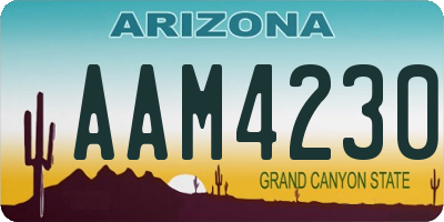 AZ license plate AAM4230
