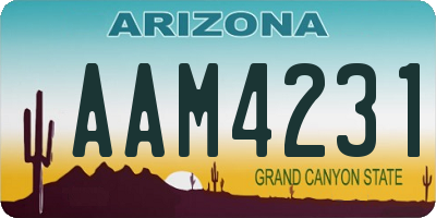 AZ license plate AAM4231