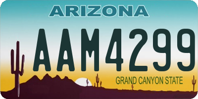 AZ license plate AAM4299