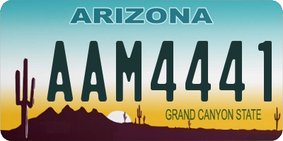 AZ license plate AAM4441
