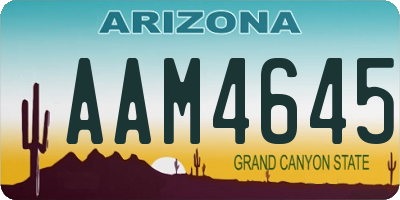 AZ license plate AAM4645