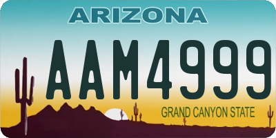 AZ license plate AAM4999