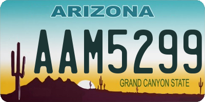 AZ license plate AAM5299
