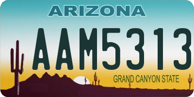 AZ license plate AAM5313