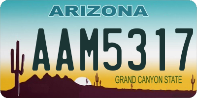 AZ license plate AAM5317