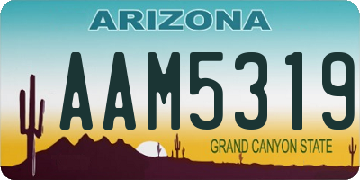 AZ license plate AAM5319