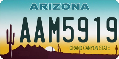 AZ license plate AAM5919