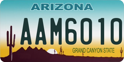 AZ license plate AAM6010