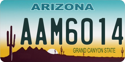 AZ license plate AAM6014