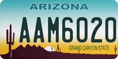 AZ license plate AAM6020