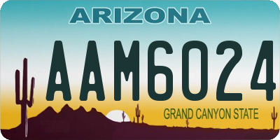 AZ license plate AAM6024