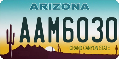 AZ license plate AAM6030