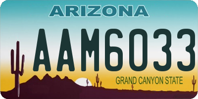 AZ license plate AAM6033