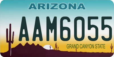 AZ license plate AAM6055