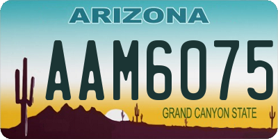 AZ license plate AAM6075