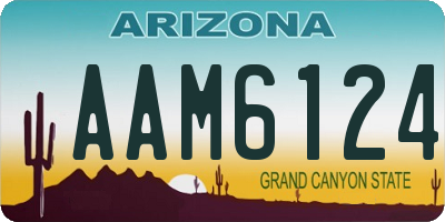 AZ license plate AAM6124