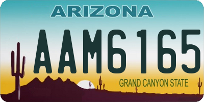 AZ license plate AAM6165