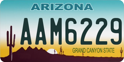 AZ license plate AAM6229