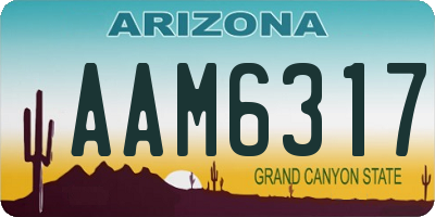 AZ license plate AAM6317