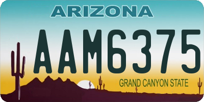 AZ license plate AAM6375
