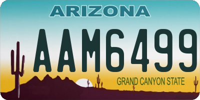 AZ license plate AAM6499