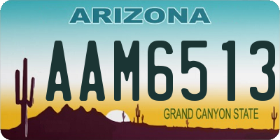AZ license plate AAM6513