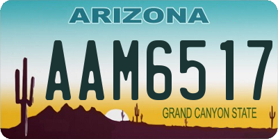 AZ license plate AAM6517