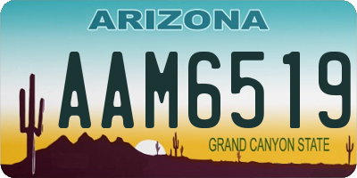 AZ license plate AAM6519