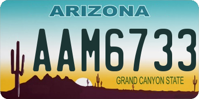 AZ license plate AAM6733