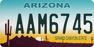 AZ license plate AAM6745