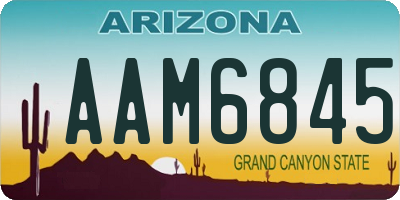 AZ license plate AAM6845