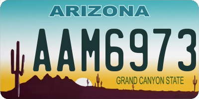 AZ license plate AAM6973