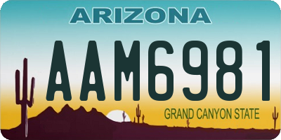 AZ license plate AAM6981