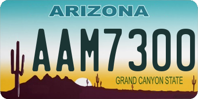 AZ license plate AAM7300