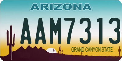 AZ license plate AAM7313