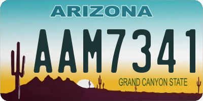 AZ license plate AAM7341