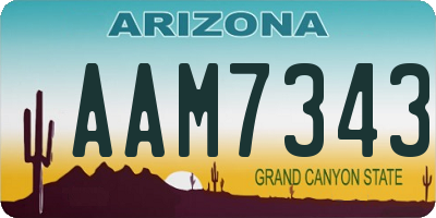 AZ license plate AAM7343