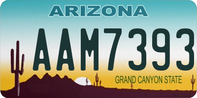 AZ license plate AAM7393