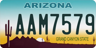 AZ license plate AAM7579