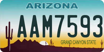 AZ license plate AAM7593