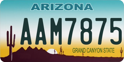 AZ license plate AAM7875