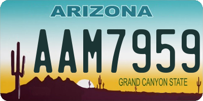 AZ license plate AAM7959