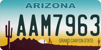 AZ license plate AAM7963