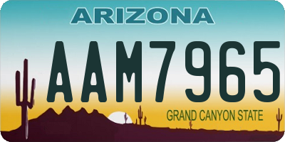 AZ license plate AAM7965