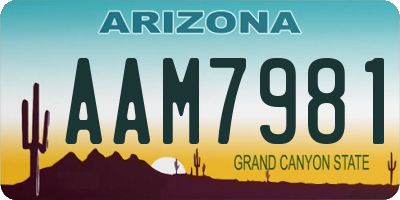 AZ license plate AAM7981