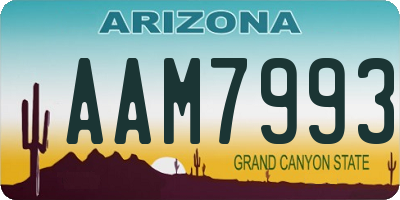 AZ license plate AAM7993